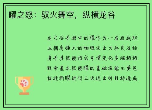 曜之怒：驭火舞空，纵横龙谷