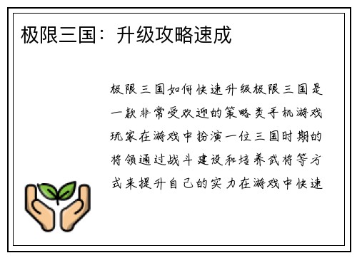 极限三国：升级攻略速成
